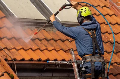 Démoussage et hydrofuge de toiture à Velogny